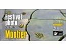 Festival international de photo nature de Montier en Der