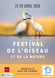 Festival de l'oiseau et de la nature - le Crotoy - du 27 au 29/04/18 - Ouest Américain 