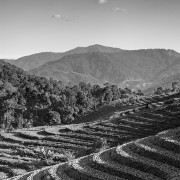 Thailande Noir et Blanc