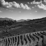 Thailande Noir et Blanc