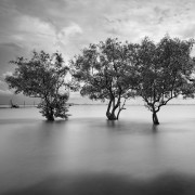 Thailande Noir et Blanc