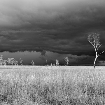 Travail d'auteur - deuxième exemple