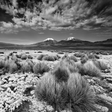 Travail d'auteur - deuxième exemple