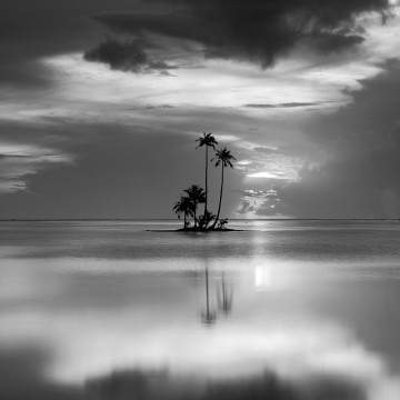 Travail d'auteur - premier exemple