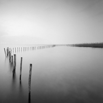 Travail d'auteur - deuxième exemple