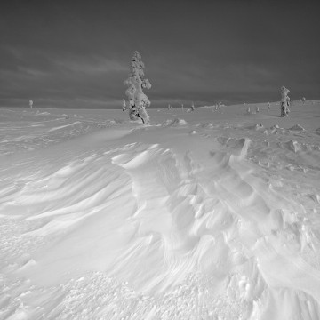 Travail d'auteur - premier exemple