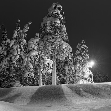 Travail d'auteur - deuxième exemple