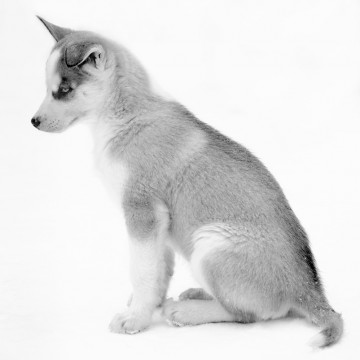 Travail d'auteur - deuxième exemple