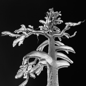 Travail d'auteur - deuxième exemple