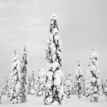 Travail d'auteur - deuxième exemple