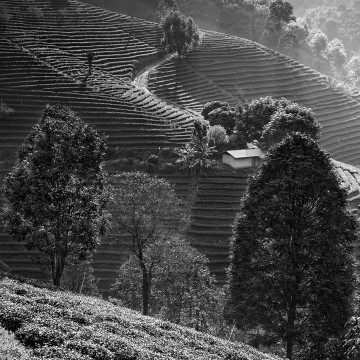 Travail d'auteur - premier exemple