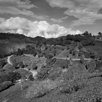Travail d'auteur - premier exemple