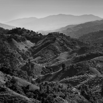 Travail d'auteur - premier exemple