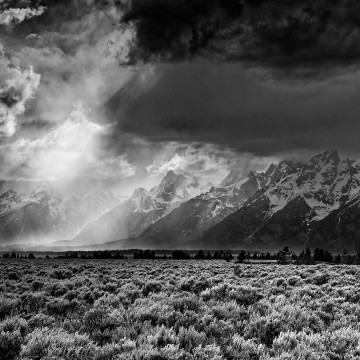 Travail d'auteur - deuxième exemple